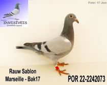 POR 22-2242073